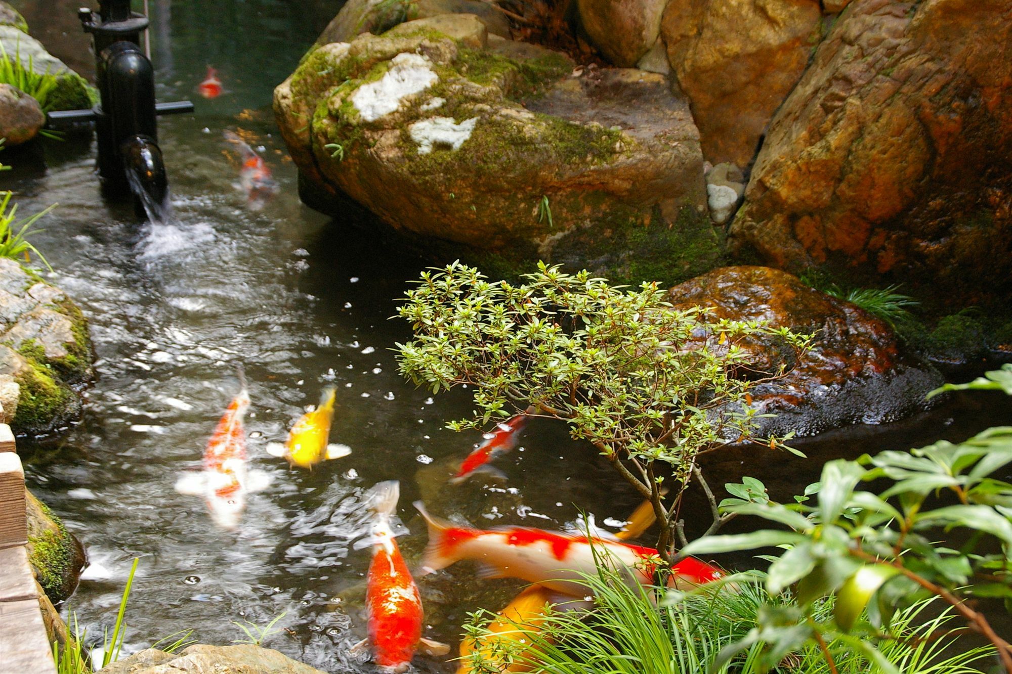 Ryokan Sawaya Honten Kyoto Dış mekan fotoğraf